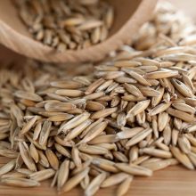 bellarosa bio prodotti agricoltura biologica cereali e legumi in chicci e in brodo vegetale-33